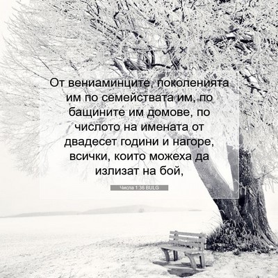 Picture 07 - Числа 1:36 BULG - От вениаминците, - Bible Verse Picture