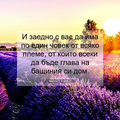Picture 07 - Числа 1:4 BULG - И заедно с вас да има по - Bible Verse Picture