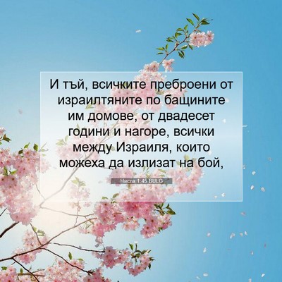 Picture 07 - Числа 1:45 BULG - И тъй, всичките преброени - Bible Verse Picture