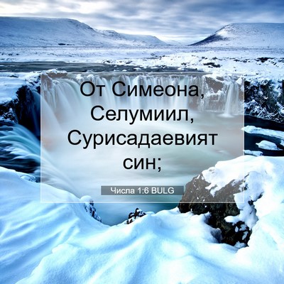 Picture 07 - Числа 1:6 BULG - От Симеона, Селумиил, - Bible Verse Picture