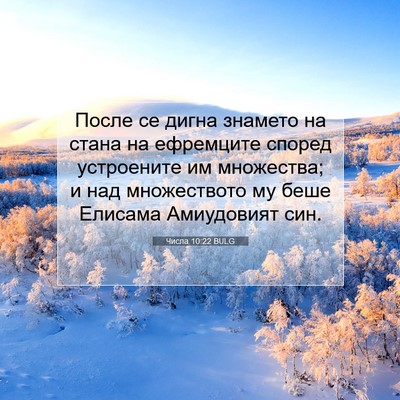 Picture 07 - Числа 10:22 BULG - После се дигна знамето на - Bible Verse Picture