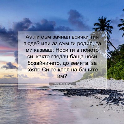 Picture 07 - Числа 11:12 BULG - Аз ли съм зачнал всички тия - Bible Verse Picture