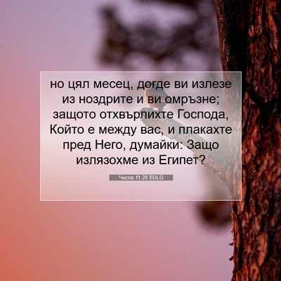 Picture 07 - Числа 11:20 BULG - но цял месец, догде ви - Bible Verse Picture