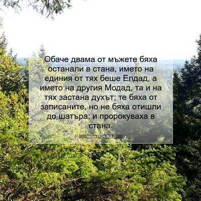 Picture 07 - Числа 11:26 BULG - Обаче двама от мъжете бяха - Bible Verse Picture
