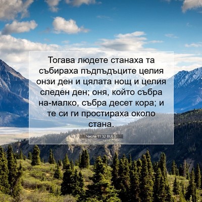 Picture 07 - Числа 11:32 BULG - Тогава людете станаха та - Bible Verse Picture