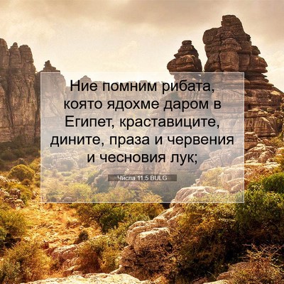 Picture 07 - Числа 11:5 BULG - Ние помним рибата, която - Bible Verse Picture