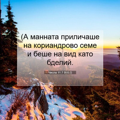 Picture 07 - Числа 11:7 BULG - (А манната приличаше на - Bible Verse Picture