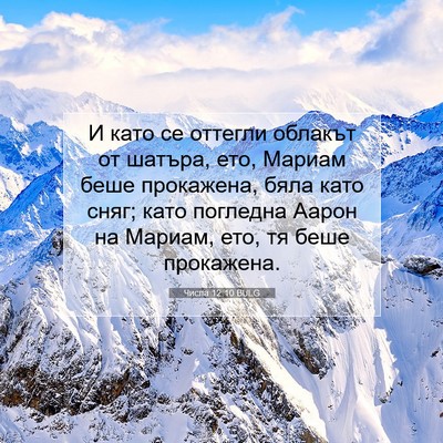 Picture 07 - Числа 12:10 BULG - И като се оттегли облакът - Bible Verse Picture