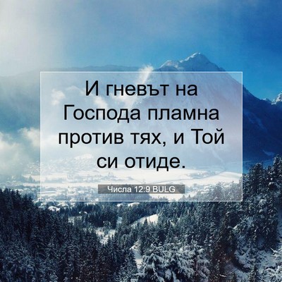 Picture 07 - Числа 12:9 BULG - И гневът на Господа пламна - Bible Verse Picture