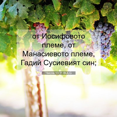Picture 07 - Числа 13:11 BULG - от Иосифовото племе, от - Bible Verse Picture