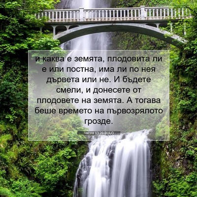 Picture 07 - Числа 13:20 BULG - и каква е земята, плодовита - Bible Verse Picture
