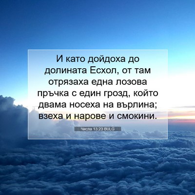 Picture 07 - Числа 13:23 BULG - И като дойдоха до долината - Bible Verse Picture