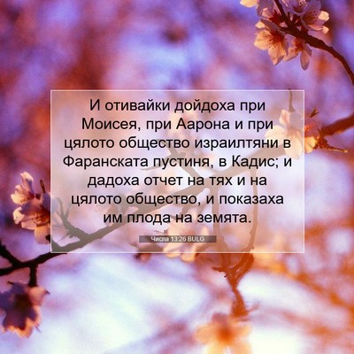 Picture 07 - Числа 13:26 BULG - И отивайки дойдоха при - Bible Verse Picture