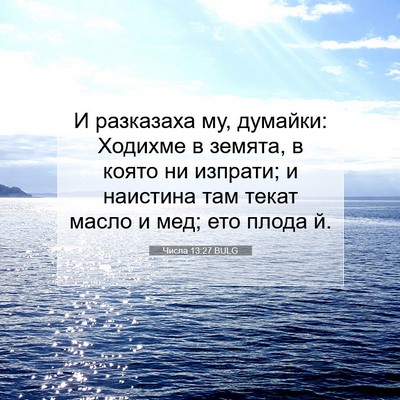 Picture 07 - Числа 13:27 BULG - И разказаха му, думайки: - Bible Verse Picture