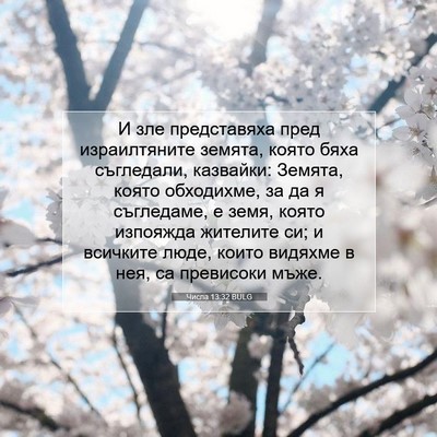 Picture 07 - Числа 13:32 BULG - И зле представяха пред - Bible Verse Picture
