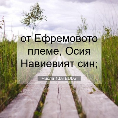 Picture 07 - Числа 13:8 BULG - от Ефремовото племе, Осия - Bible Verse Picture