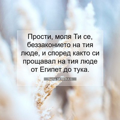 Picture 07 - Числа 14:19 BULG - Прости, моля Ти се, - Bible Verse Picture