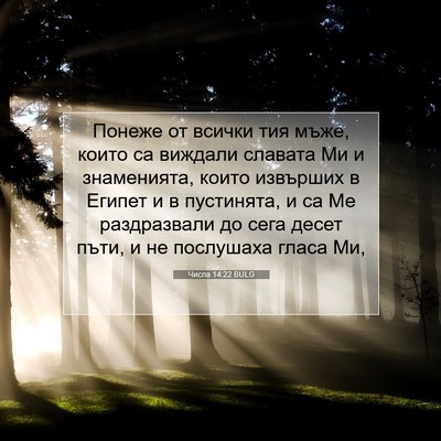 Picture 07 - Числа 14:22 BULG - Понеже от всички тия мъже, - Bible Verse Picture