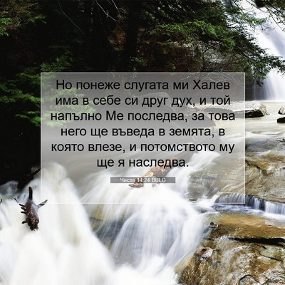 Picture 07 - Числа 14:24 BULG - Но понеже слугата ми Халев - Bible Verse Picture