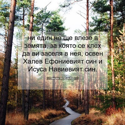 Picture 07 - Числа 14:30 BULG - ни един не ще влезе в - Bible Verse Picture