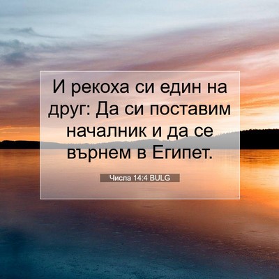 Picture 07 - Числа 14:4 BULG - И рекоха си един на друг: Да - Bible Verse Picture