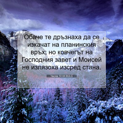 Picture 07 - Числа 14:44 BULG - Обаче те дръзнаха да се - Bible Verse Picture