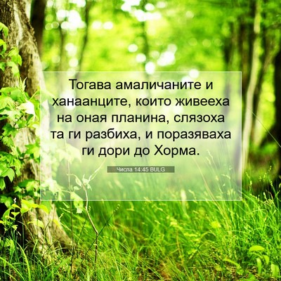 Picture 07 - Числа 14:45 BULG - Тогава амаличаните и - Bible Verse Picture