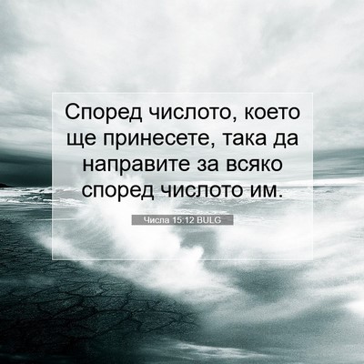 Picture 07 - Числа 15:12 BULG - Според числото, което ще - Bible Verse Picture