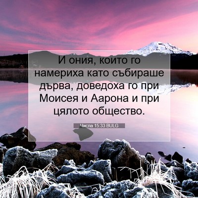 Picture 07 - Числа 15:33 BULG - И ония, които го намериха - Bible Verse Picture
