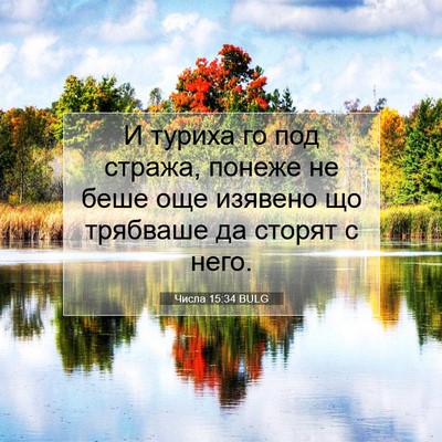 Picture 07 - Числа 15:34 BULG - И туриха го под стража, - Bible Verse Picture