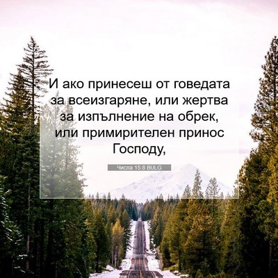 Picture 07 - Числа 15:8 BULG - И ако принесеш от говедата - Bible Verse Picture