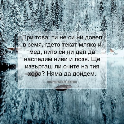 Picture 07 - Числа 16:14 BULG - При това, ти не си ни довел - Bible Verse Picture