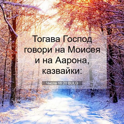 Picture 07 - Числа 16:20 BULG - Тогава Господ говори на - Bible Verse Picture