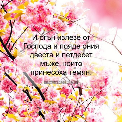 Picture 07 - Числа 16:35 BULG - И огън излезе от Господа и - Bible Verse Picture
