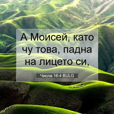 Picture 07 - Числа 16:4 BULG - А Моисей, като чу това, - Bible Verse Picture
