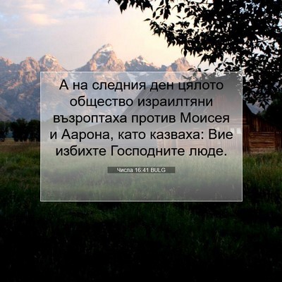 Picture 07 - Числа 16:41 BULG - А на следния ден цялото - Bible Verse Picture