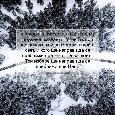 Picture 07 - Числа 16:5 BULG - и говори на Корея и на - Bible Verse Picture