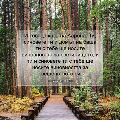 Picture 07 - Числа 18:1 BULG - И Господ каза на Аарона: Ти, - Bible Verse Picture