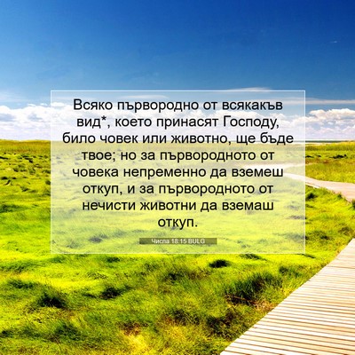 Picture 07 - Числа 18:15 BULG - Всяко първородно от - Bible Verse Picture