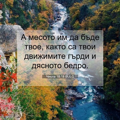 Picture 07 - Числа 18:18 BULG - А месото им да бъде твое, - Bible Verse Picture