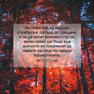 Picture 07 - Числа 18:23 BULG - Но левитите да вършат - Bible Verse Picture