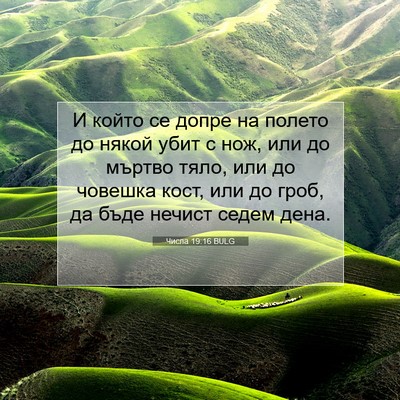 Picture 07 - Числа 19:16 BULG - И който се допре на полето - Bible Verse Picture