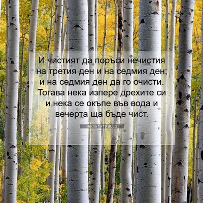 Picture 07 - Числа 19:19 BULG - И чистият да поръси - Bible Verse Picture