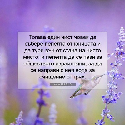 Picture 07 - Числа 19:9 BULG - Тогава един чист човек да - Bible Verse Picture