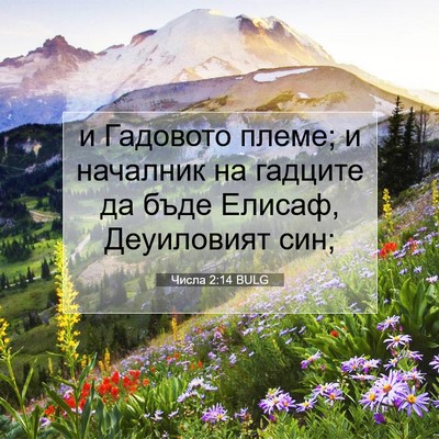 Picture 07 - Числа 2:14 BULG - и Гадовото племе; и - Bible Verse Picture