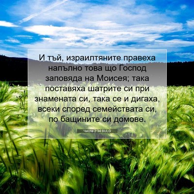 Picture 07 - Числа 2:34 BULG - И тъй, израилтяните - Bible Verse Picture