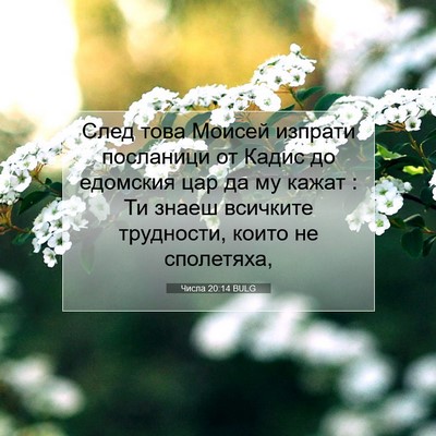 Picture 07 - Числа 20:14 BULG - След това Моисей изпрати - Bible Verse Picture