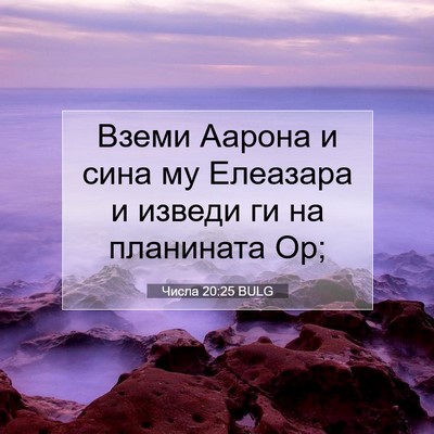 Picture 07 - Числа 20:25 BULG - Вземи Аарона и сина му - Bible Verse Picture
