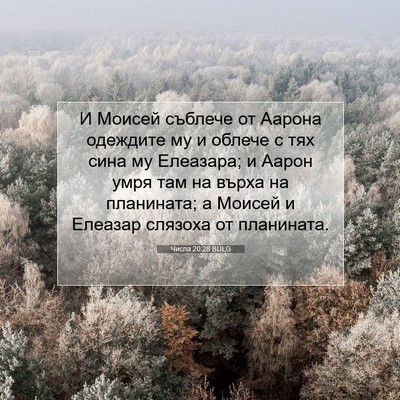Picture 07 - Числа 20:28 BULG - И Моисей съблече от Аарона - Bible Verse Picture
