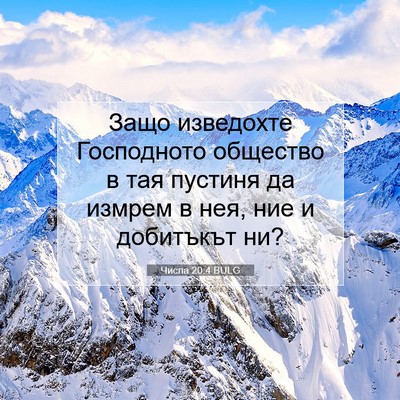 Picture 07 - Числа 20:4 BULG - Защо изведохте Господното - Bible Verse Picture